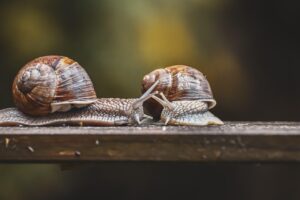 残り香を残すための効果的な方法は？