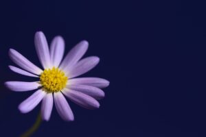 キスの前に知っておきたい口臭が気になる時の対策は？