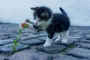 いい匂いの女になる方法とは？
