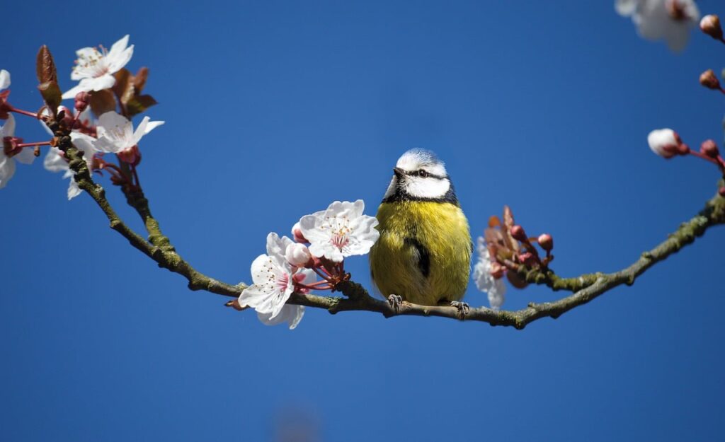香水をつけてレストランでのマナーはどうすれば良い？
