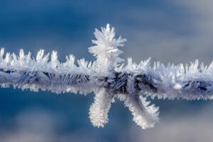 香水を使って初対面で好印象を与える方法は？