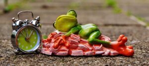 自分も気分が上がる香りを楽しむためのおすすめアイテムは？
